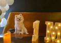 杭州顶级娱乐体验：探索最佳KTV环境