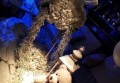电话销售酒品技巧（创新策略：以卓越沟通艺术促酒品电话销售的精进）