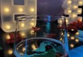 酒销售话术和技巧（创新酒水营销沟通艺术与策略）