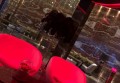 葡萄酒销售技巧和话术（创新葡萄酒销售策略与魅力沟通话术）